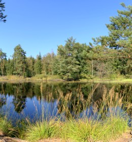 wirtualne wycieczki - Przemkowski Park Krajobrazowy