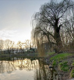 wirtualne wycieczki - Park miejski im. R. Traugutta