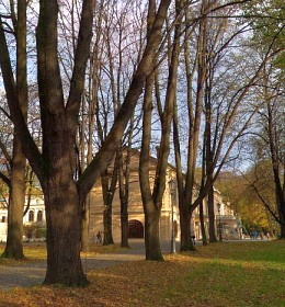 wirtualne wycieczki - Jesie w parku paacowym w ywcu